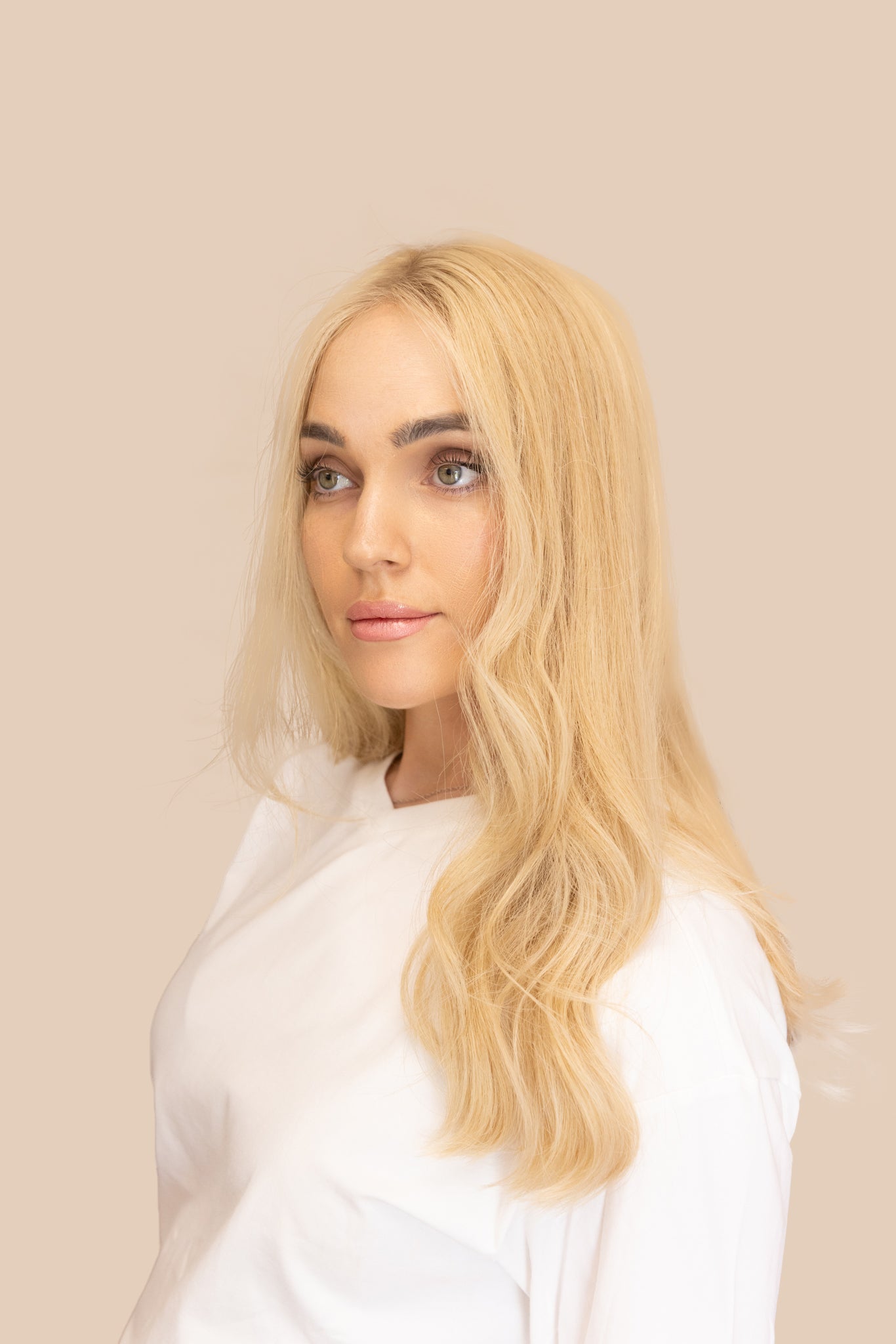 Golden Veil | LACE TOP