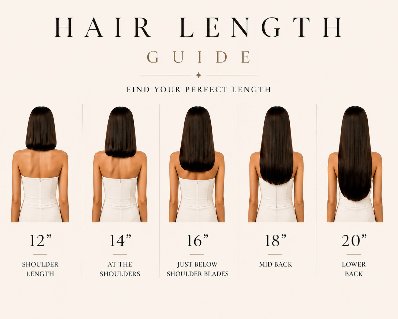 Hair length guide, back view: 12 inch shoulder length, 14 inch at the shoulders, 16 inch just below shoulder blades, 18 inch mid back, 20 inch lower back - Dorin Wigs wig length reference